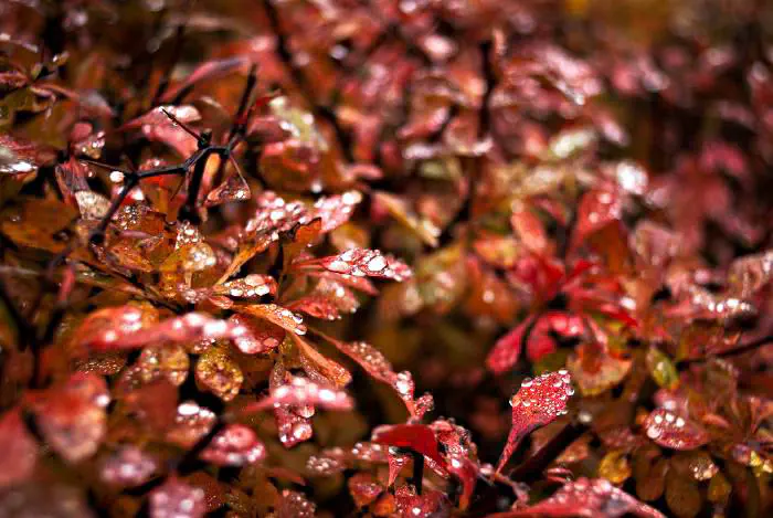 p h o t o s h o p [(flickrlänk)](https://www.flickr.com/photos/oscar-carlsson/4251751615/)