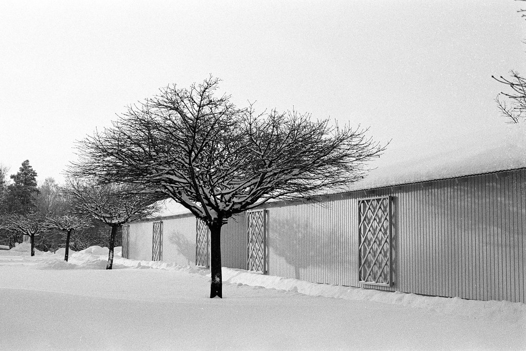 Ryd, 2010 [(flickrlänk)](https://www.flickr.com/photos/oscar-carlsson/4317572744/)
