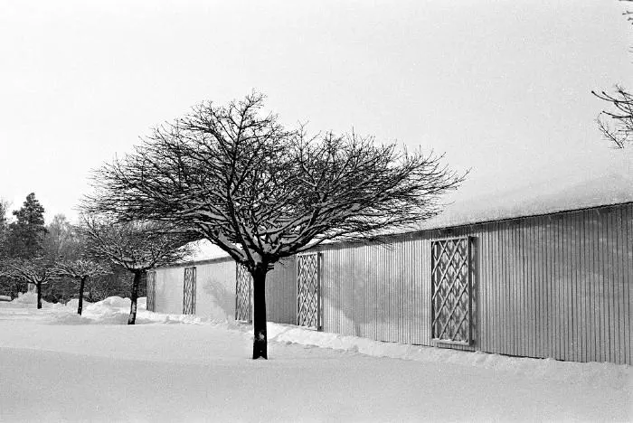 Ryd, 2010 [(flickrlänk)](https://www.flickr.com/photos/oscar-carlsson/4317572744/)