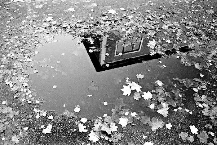 Pöl [(flickrlänk)](https://www.flickr.com/photos/oscar-carlsson/4422730771/)