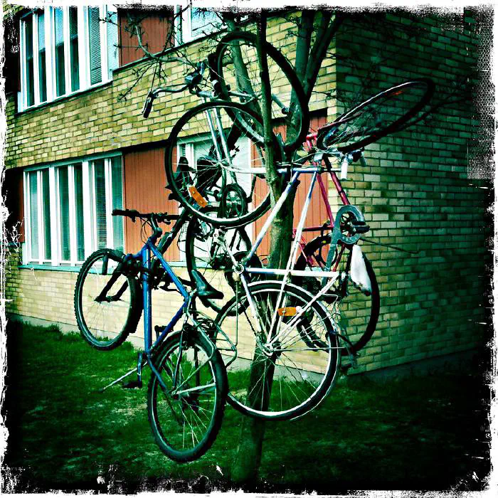 Cyklar [(flickrlänk)](https://www.flickr.com/photos/oscar-carlsson/4548275234/)