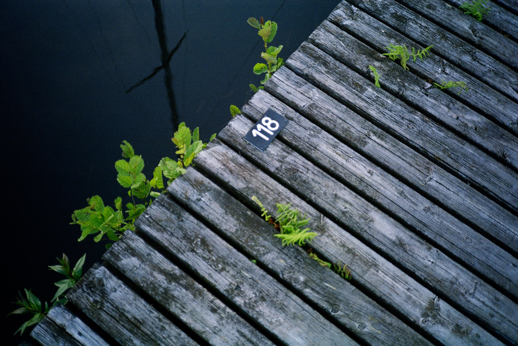 Dag 169 [(flickrlänk)](https://www.flickr.com/photos/oscar-carlsson/4736024810/)