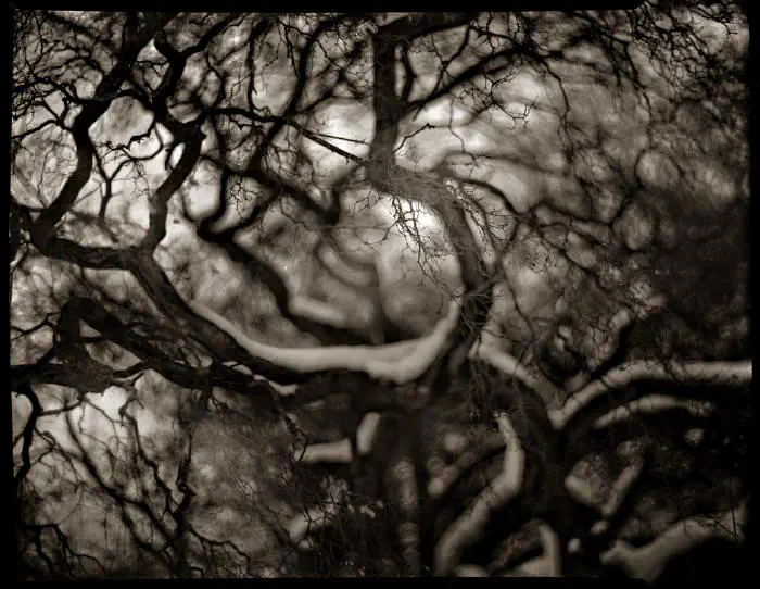 Distant Light, Andreas Ulvo [(flickrlänk)](https://www.flickr.com/photos/ulvo/4291950562/)