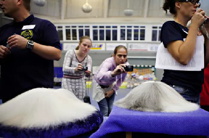 Foto, Jörgen Johansson