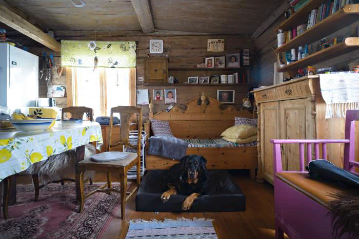 Obligatorisk hundbild i familjestugan