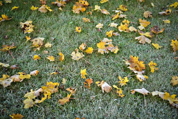 2014-10-30, Linköping