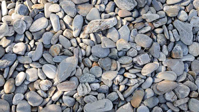 Augusti, Torne träsk