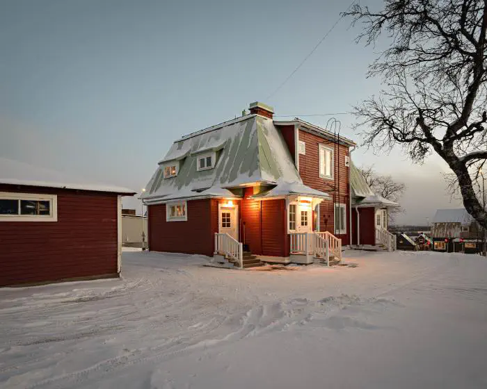 Bläckhorn i vinterskrud