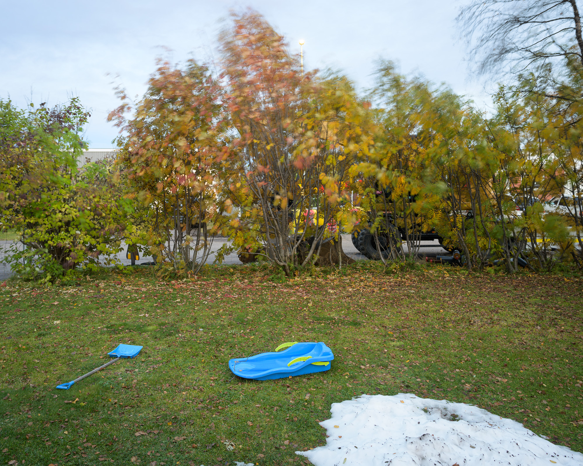 Hösten efter första snön (Nikon 28 mm f1.8)