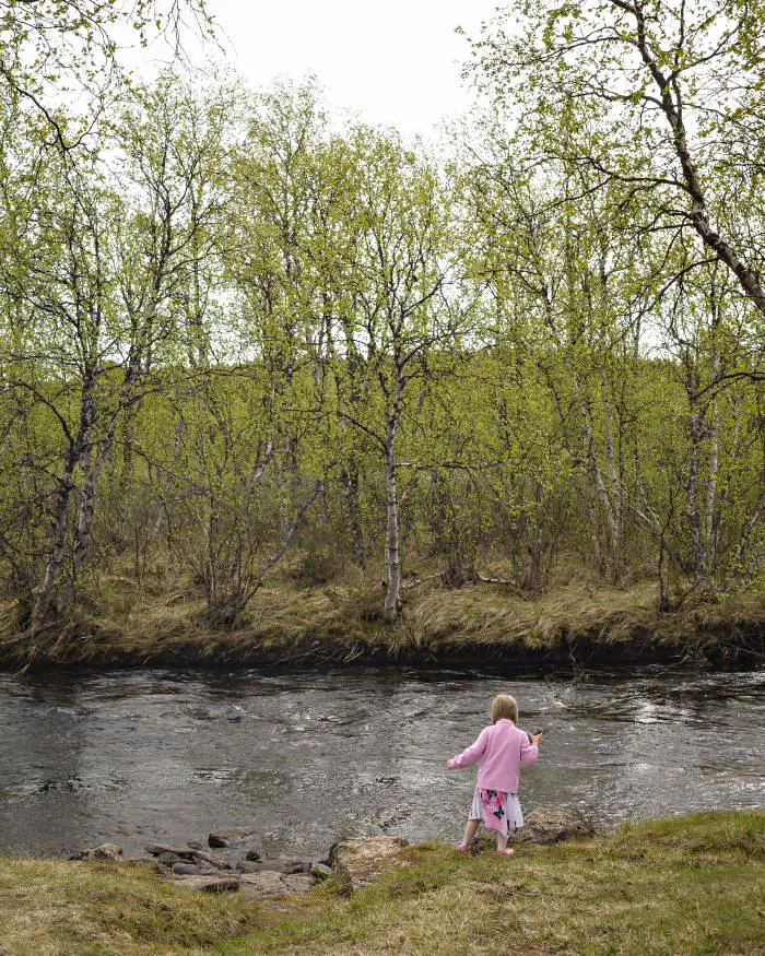 Första vårtecknen i stugan, juni.