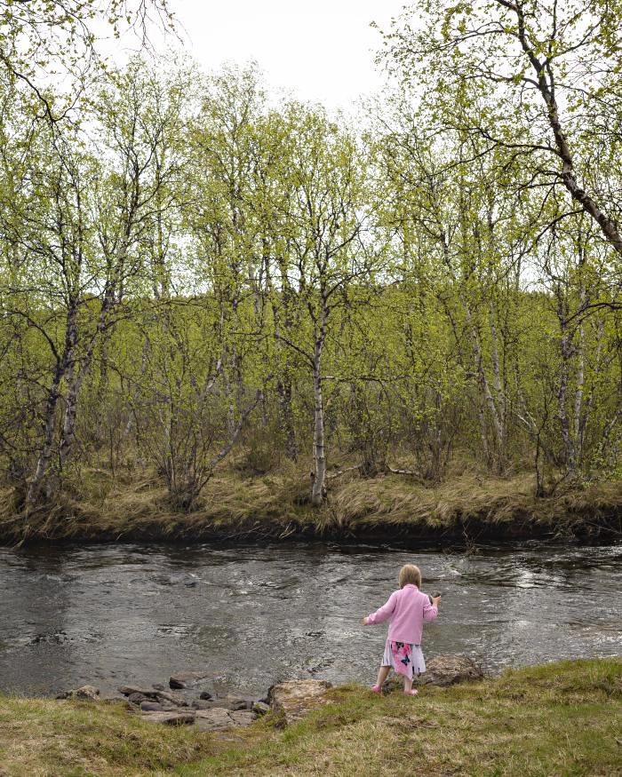 Första vårtecknen i stugan, juni.