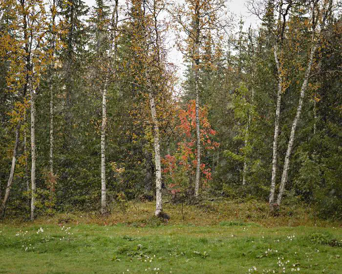 Vy från gamla E10:an, september 2019