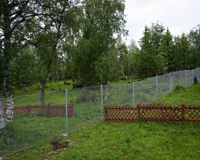 Gruvstadsparken, juni 2024