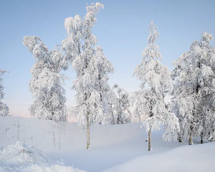 Gruvstadsparken, december